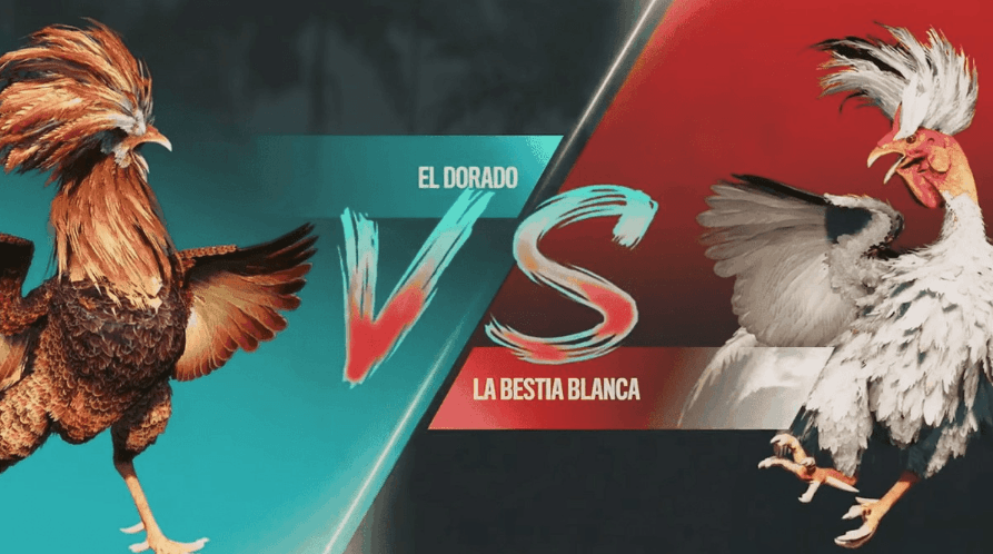 6167 online Sport Cassino