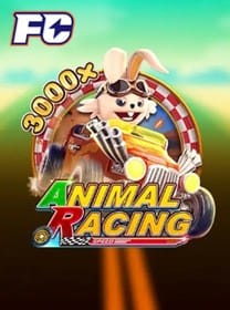 6167 Brasil Cassino de esportes